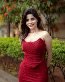 Premium adult profile